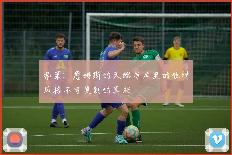 弗莱：詹姆斯的天赋与库里的独特风格不可复制的真相